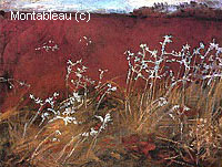 Thistles