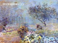 Foggy Morning, Voisins