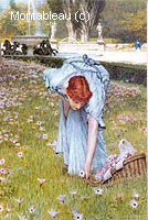 Flora