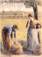 The Harvest