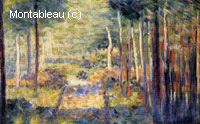 Forest Path, Barbizon