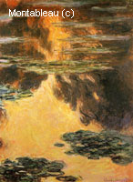 Water-Lilies