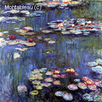 Water-Lilies