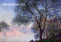 Antibes Seen from the Salis Gardens