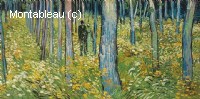 Sous-bois