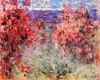 Arbres fleurissants près de la côte