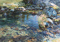 Alpine Pool