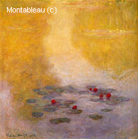Water-Lilies