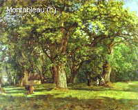 La Forêt