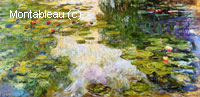 Water-Lilies
