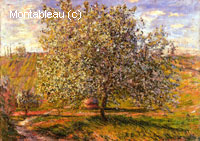 Arbre en fleur près de Vetheuil