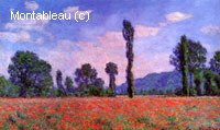 Poppy Field in Giverny