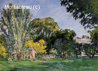 The Trees of Jas de Bouffan