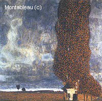 The Large Poplar (Thunderstorm Get Up)