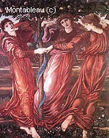 The Garden of the Hesperides