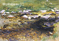 Brook and Meadow