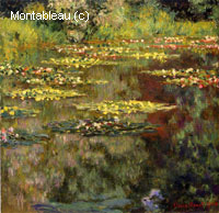 Water-Lilies