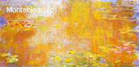 The Water-Lily Pond