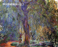 Weeping Willow