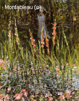 Le jardin, Gladioli