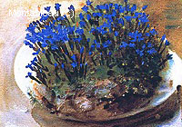 Blue Gentians