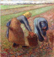 The Potato Harvest