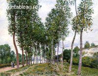 The Lane of Poplars on the Banks of the Loing