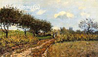 The Path in the Country