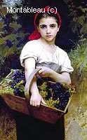 The Grape Picker