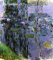 Water-Lilies