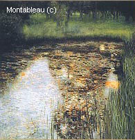 The Marsh