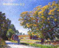 The Fields around the Forest