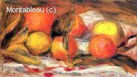 Still Life