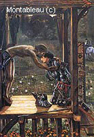 The Merciful Knight
