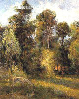 Lisière de Forêt