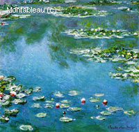 Water-Lilies