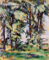 Large Trees at Jas de Bouffan